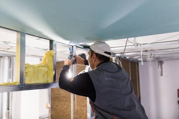 Best Home Insulation Services  in Floydada, TX