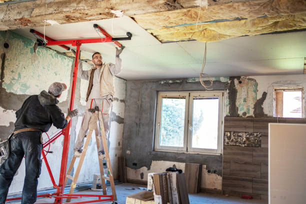 Best Insulation Contractors for Homes  in Floydada, TX